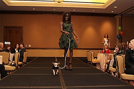 tailwags-and-handbags-409