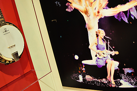 Taylor Swift MIM Exhibit-30