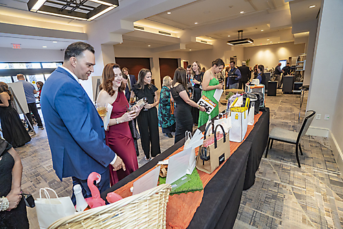 DSC00765_edit_1775738290_69d79db25cd0b