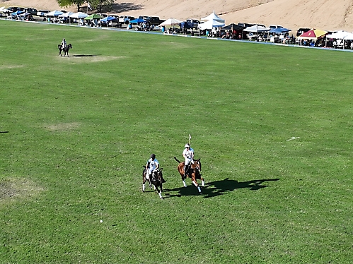 Polo 2023 -108