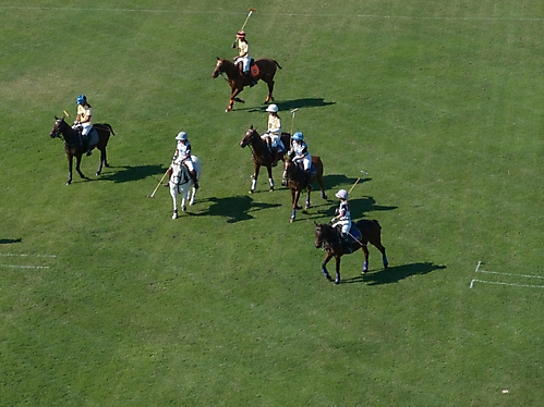 Polo 2023 -4