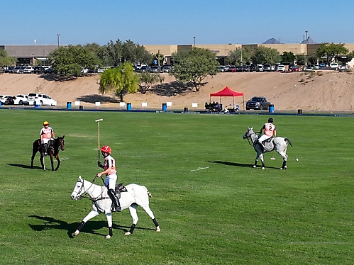Polo 2023 -50