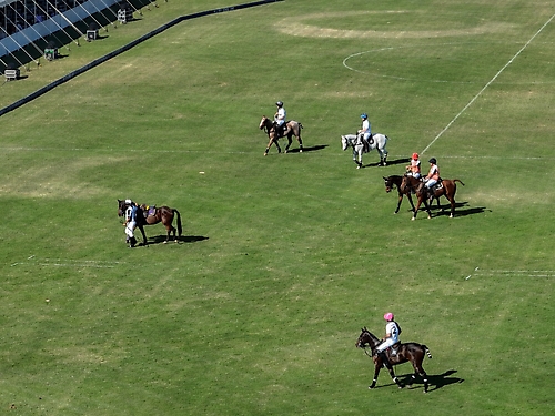 Polo 2023 -54