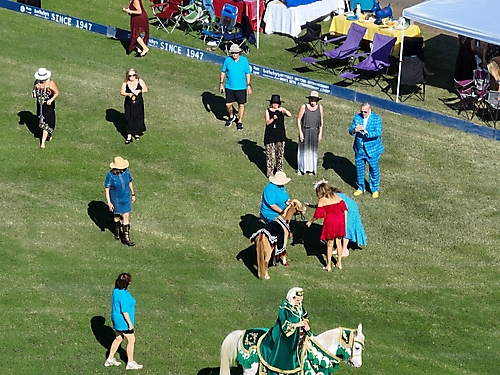 Polo 2023 -58