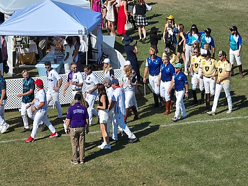 Polo 2023 -73
