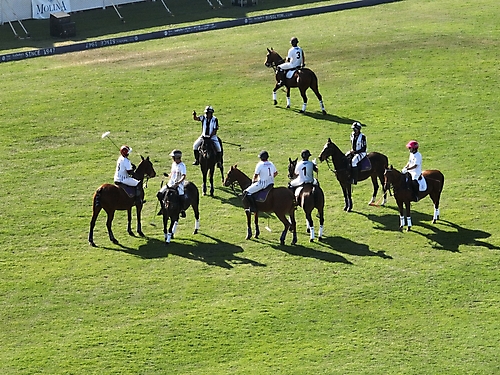 Polo 2023 -86