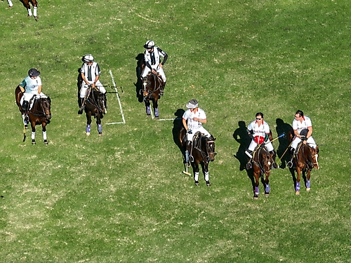 Polo 2023 -89