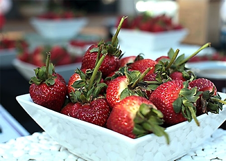 2010-taste-35