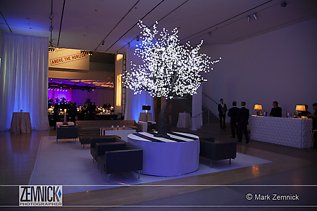 Copyright © 2012 Mark Zemnick_0050