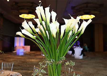 img_0277-01
