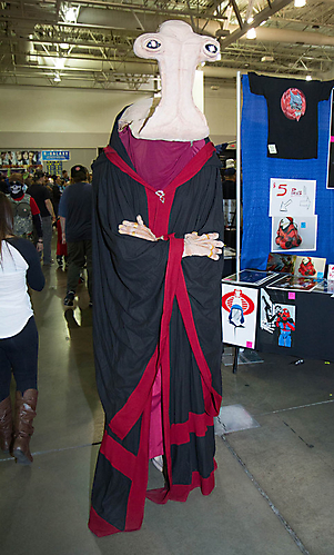 IMG_1258