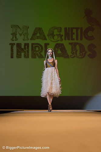IMG_6553 LR LR
