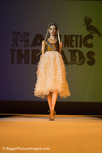 IMG_6555 LR LR