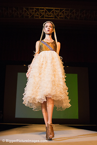 IMG_6557 LR LR
