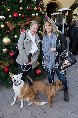 Unleashed_Holiday_Tree_Lighting_(12_of_74)