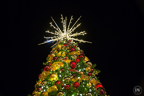 Unleashed_Holiday_Tree_Lighting_(69_of_74)