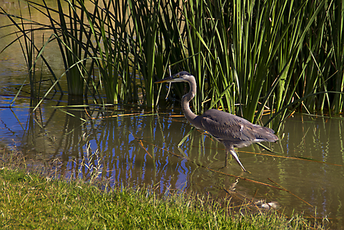 17 IMG_9256 LR