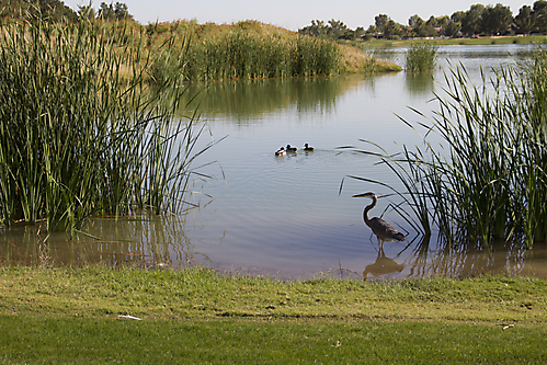 32 IMG_9249 LR