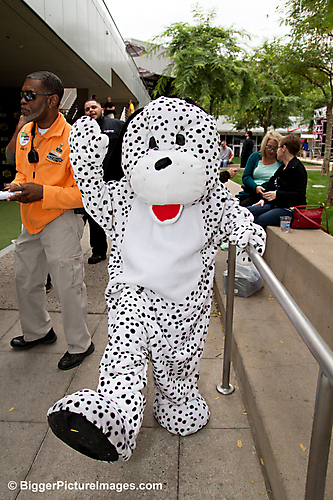 18 IMG_1623 LR