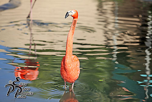 IMG_7197 copy