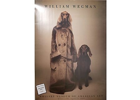 william-wegman-appearance-phoenix-2009_06