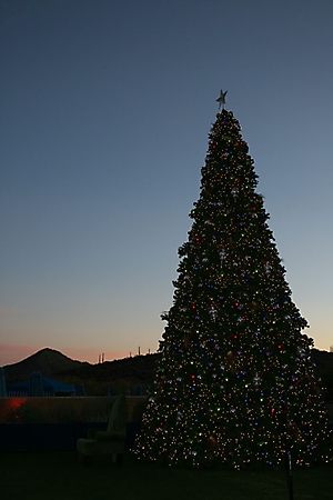 jw-marriott-star-pass-winter-wonderland-tucson-2009_07