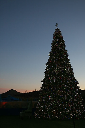 jw-marriott-star-pass-winter-wonderland-tucson-2009_07