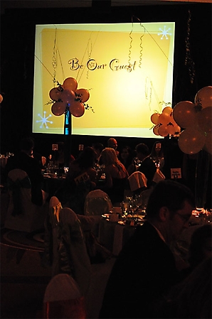 make-a-wish-ball-10