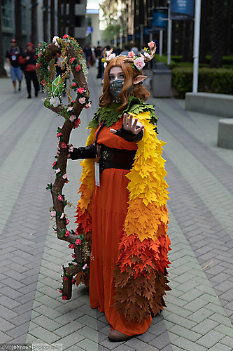 IMG_8688
