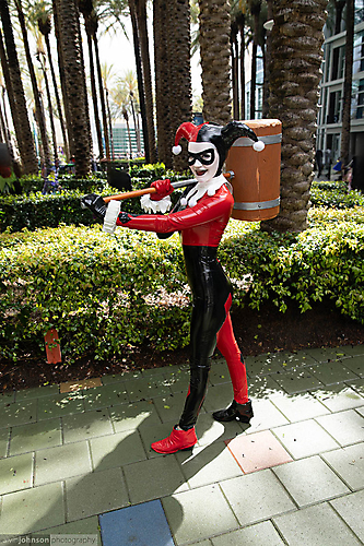 IMG_2237
