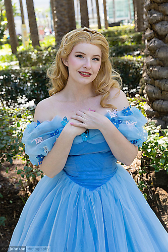 AK1A1373_1775090018_69cdb9621a604