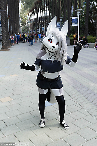 AK1A1875_1775090079_69cdb99f1e10c