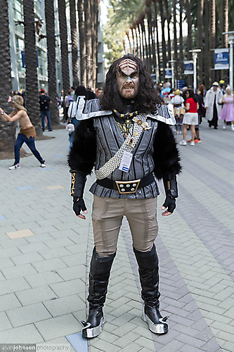 AK1A1887_1775090079_69cdb99f4aefb