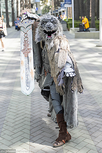 AK1A2051_1775090080_69cdb9a0b1fc8