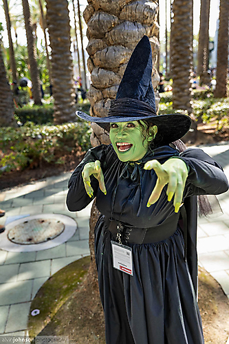 AK1A2575_1775090143_69cdb9dfb4706