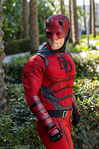 AK1A2679_1775090200_69cdba183e8b1