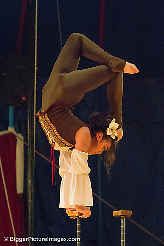 19 IMG_9499 LR LR
