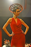 2011 Celebrity Catwalk-For-A-Cause at Barrett-Jackson