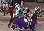 IMG_5950 LR
