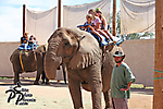 IMG_7348 copy