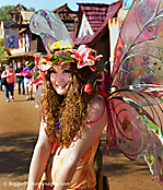 2014 Arizona Renaissance Festival (II)