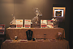 AZ-FOOTHILLS-Wishball-LizEStudio-034