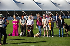 2023 Polo Championships Media Day