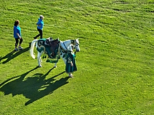 27.Friday Polo37