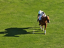 35.Friday Polo47
