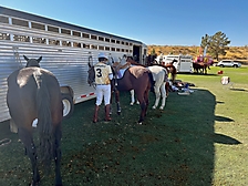 38.Friday Polo5