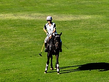 42.Friday Polo55