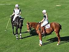 43.Friday Polo57