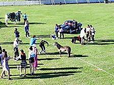 50.Friday Polo63