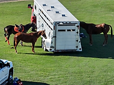 52.Friday Polo65